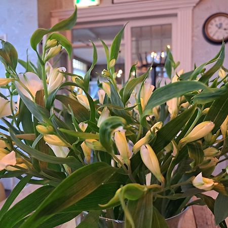 Hotel Restaurant Boven Groningen Delfzijl Eksteriør billede