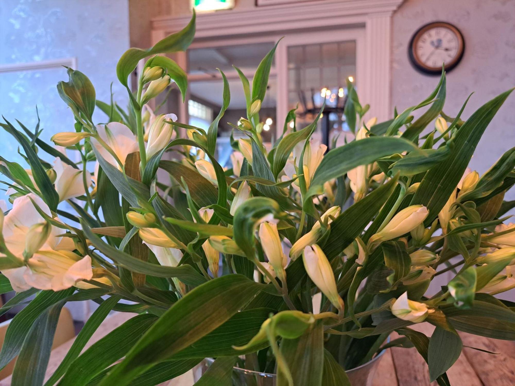 Hotel Restaurant Boven Groningen Delfzijl Eksteriør billede
